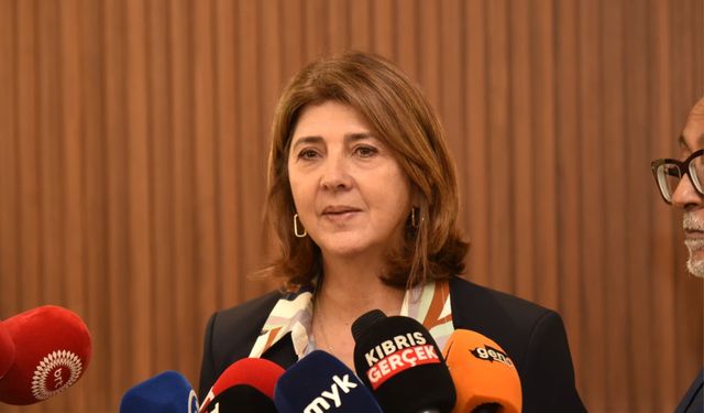 Holguín: "Liderlerle görüşmemin çok verimli ve somut olması için gayret göstereceğim"