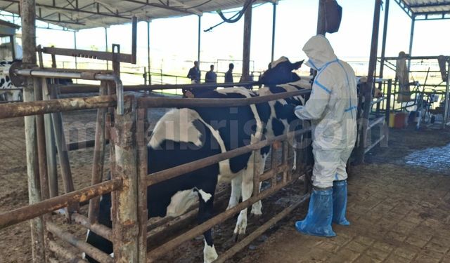 Aşılama için 30 ekip sahada