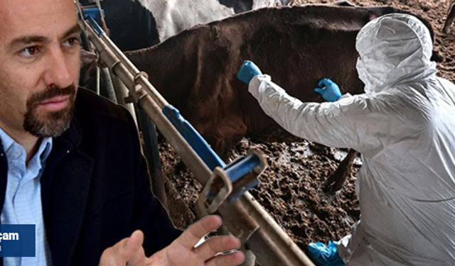 “Şap hastalığına karşı hiçbir tedbir alınmadı”