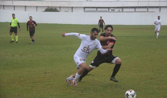 Yalova hayata, Hamitköy komaya