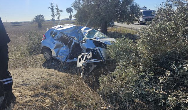 Trafik bir genç fidanı daha soldurdu