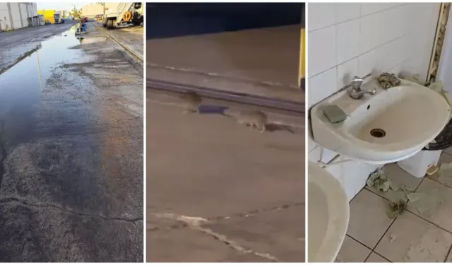 Larnaka Limanı çalışanları limandaki hijyenik olmayan çalışma koşullarından şikayetçi