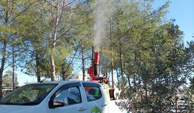 Mesarya Belediyesi Çam Kese Böceğine karşı mücadeleyi sürdürüyor