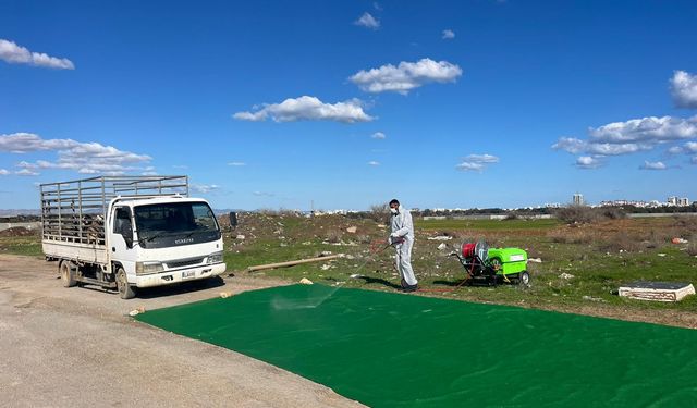 Gazimağusa Belediyesi’nden şap hastalığına yönelik önlemler