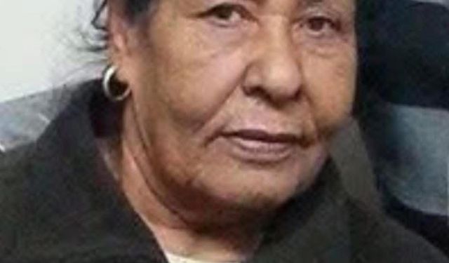 Miralay ailesi çınarına ağlıyor