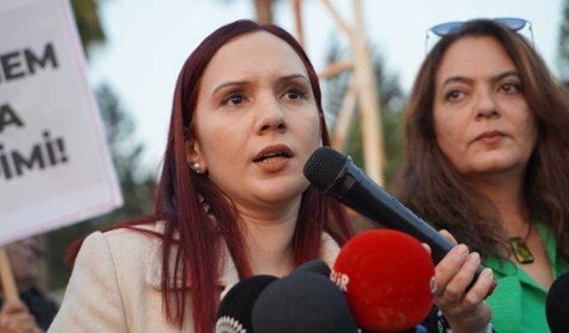 Nazlı, HP yasa tasarısını eleştirdi