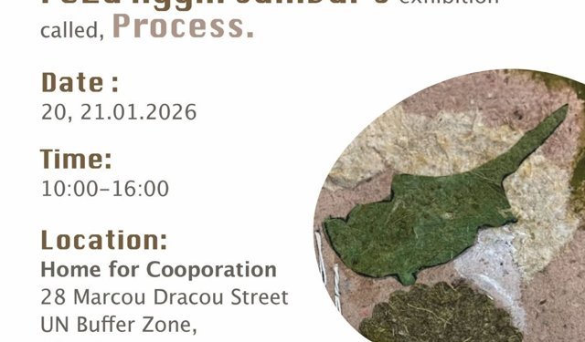 Feza Aygın Sanıvar’ın sergisi 20 Ocak’ta ara bölgede açılacak