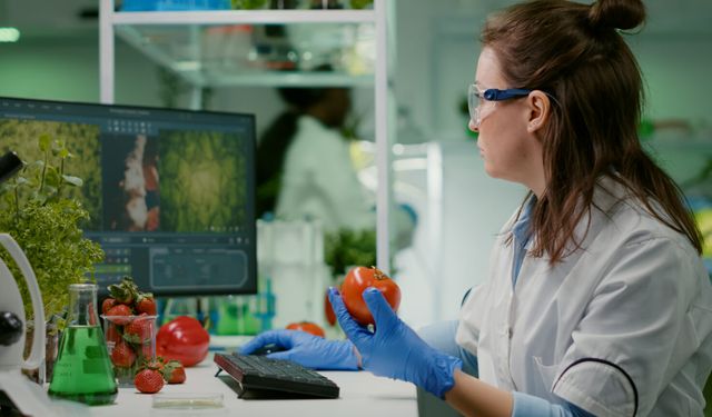 Haftalık gıda denetimleri