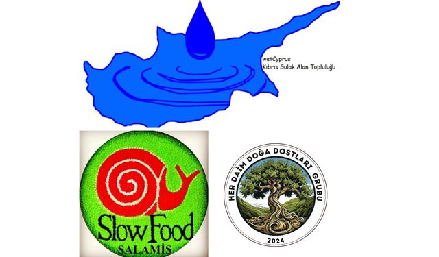 Salamis bölgesinde kuş gözlemi düzenleniyor