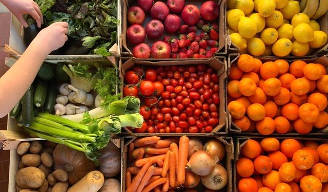 Bağışıklığı güçlendiren kış reçetesi