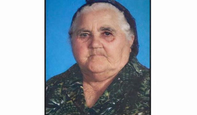 Mehmetçik bir çınarını daha kaybetti