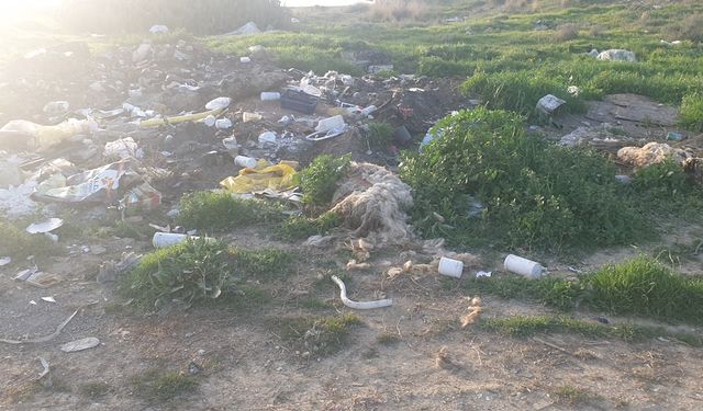 Bu tam bir sorumsuzluk