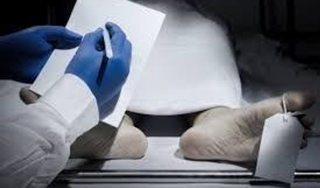 Akoya ve Can'ın ölüm sebebi belli oldu