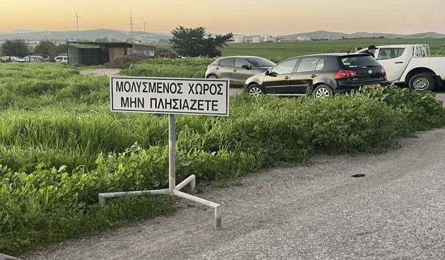 Güney Kıbrıs şap hastalığı yüzünden karantinada