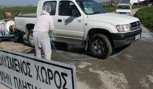 Şap hastalığıyla ilgili gelişmeler sürüyor