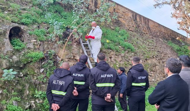 LTB, surlarda temizlik ve ilaçlama çalışmalarına devam ediyor