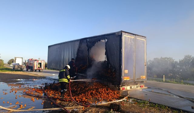 Portakal yüklü tır yandı