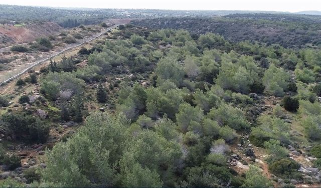 62 kuruluş İTÜ'ye orman arazisinin devredilmesini ortak açıklamayla reddetti