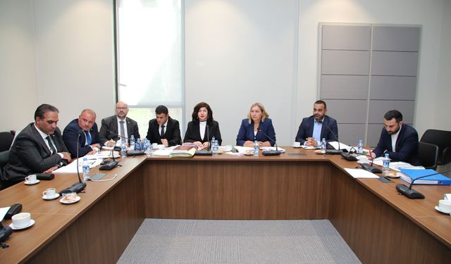 “Av ve Avla İlgili Yaban Hayatını Düzenleme (Değişiklik) Yasa Tasarısı” Genel Kurul gündemine sevk edildi