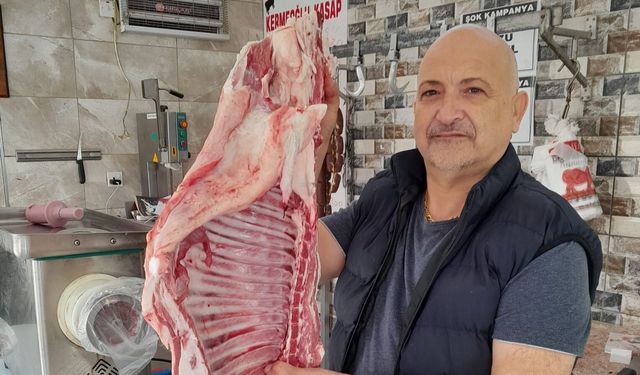 Kermeoğlu milletvekili aday adaylığını düşünüyor