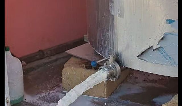 Hayvancı, sütünü yere boşaltıyor