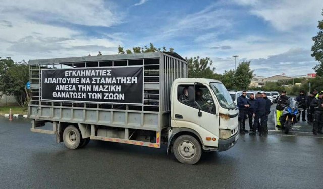 İtlaflara son verilmesini isteyen Rum hayvancılar perşembe günü eylem tehdidinde bulundu