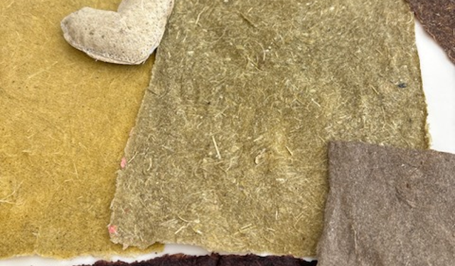 Kıbrıslı sanatçı Sanıvar, esnek formda bir kâğıt geliştirdi