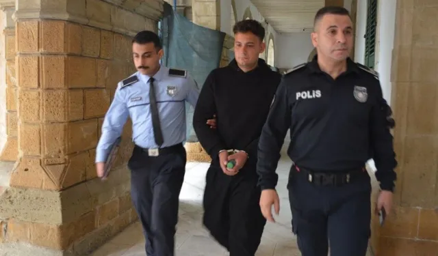 Evden 33 mermi çıktı