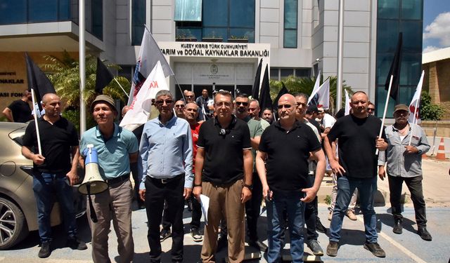 KTEZO ile Kasaplar Birliği'nden eylem