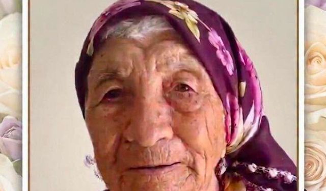 Lapta, asırlık çınarını kaybetti