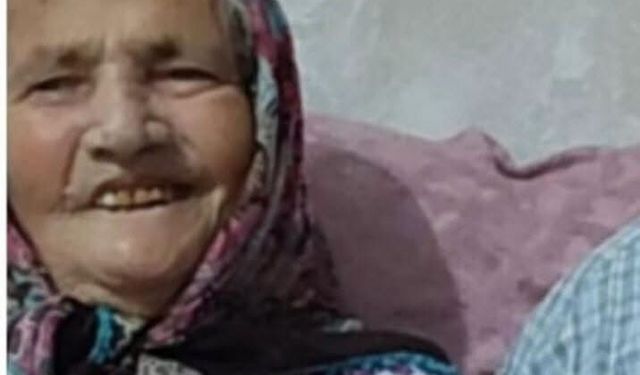 Türüt ailesi çınarına ağlıyor