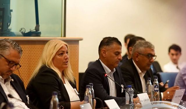 Tuğlu: Bölgemizin sesi olmaya devam edeceğiz