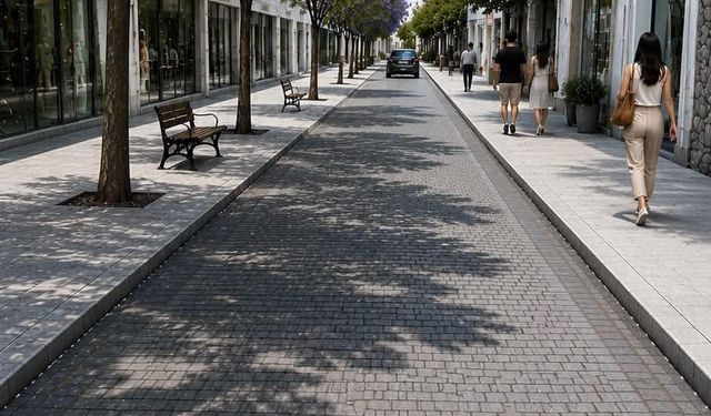 Şenkul, Ziya Rızkı Çarşı Projesi kapsamında caddedeki ağaçların sökülerek taşındığını söyledi