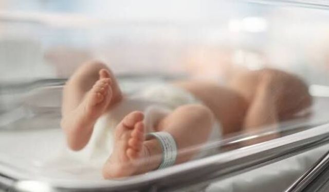 Rum Ortodoks Kilisesi Başpiskoposluğu’ndan doğurganlığı destekleme planı