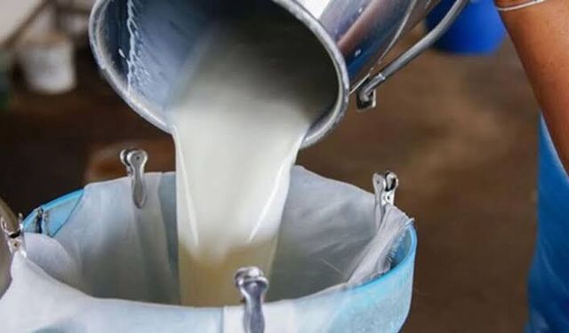 SÜTEK 16-31 Mayıs dönemi süt bedellerinin ödemesini yaptı