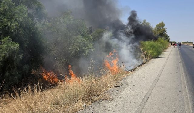 Kurudere köyü yakınlarındaki koruluk alanda yangın: 15 dönüm kül oldu