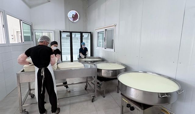 Veteriner Dairesi’nden gıda denetimi