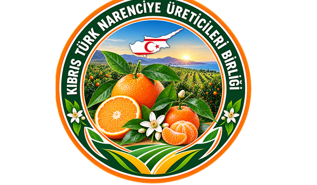 K.T Narenciye Üreticileri Birliği: "Ödemelerle ilgili çok geç kalınmıştır."