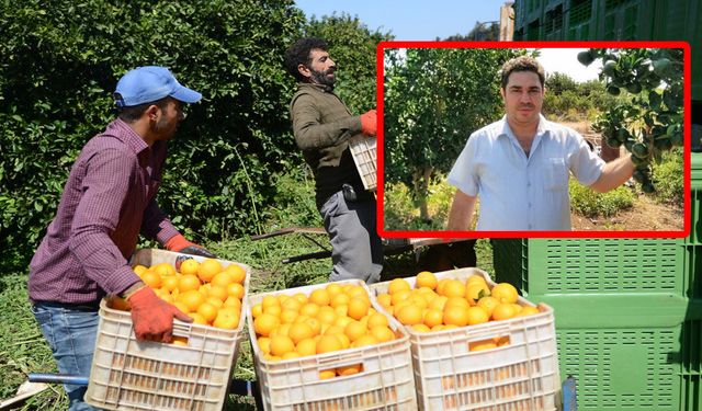 Üreticiler dar boğazda