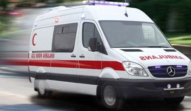 Girne’de kediyi kurtarmaya çalışırken canından oluyordu
