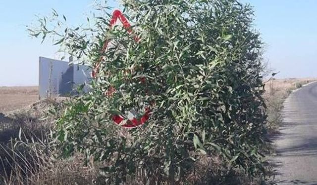 Sürücüye bulmaca çözdüren uyarı levhası