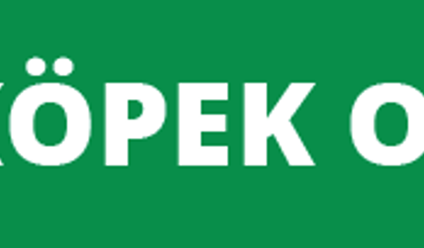 Köpek Oteli