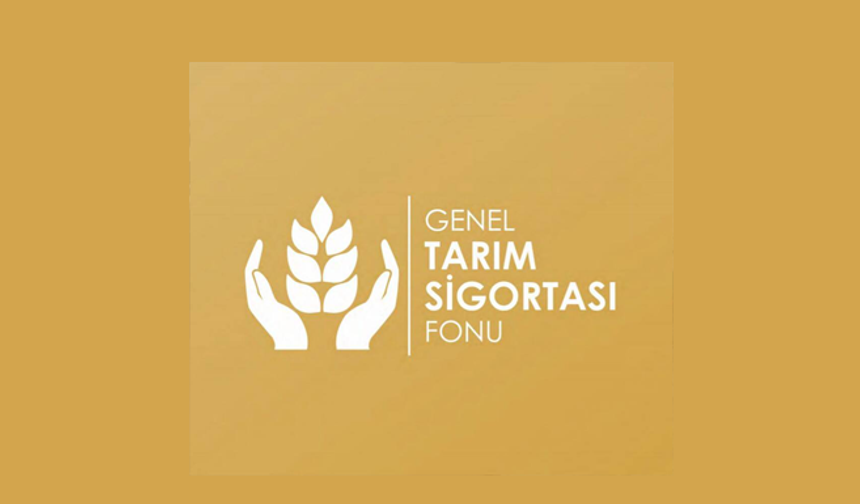 Sonbahar patates beyanları için son tarih 15 Ekim