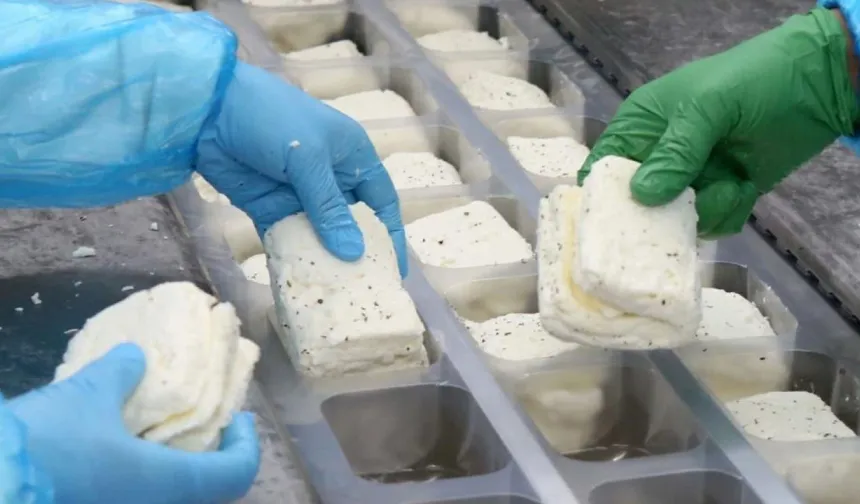 KKTC’de üretilen hellim Yeşil Hattan geçemiyor