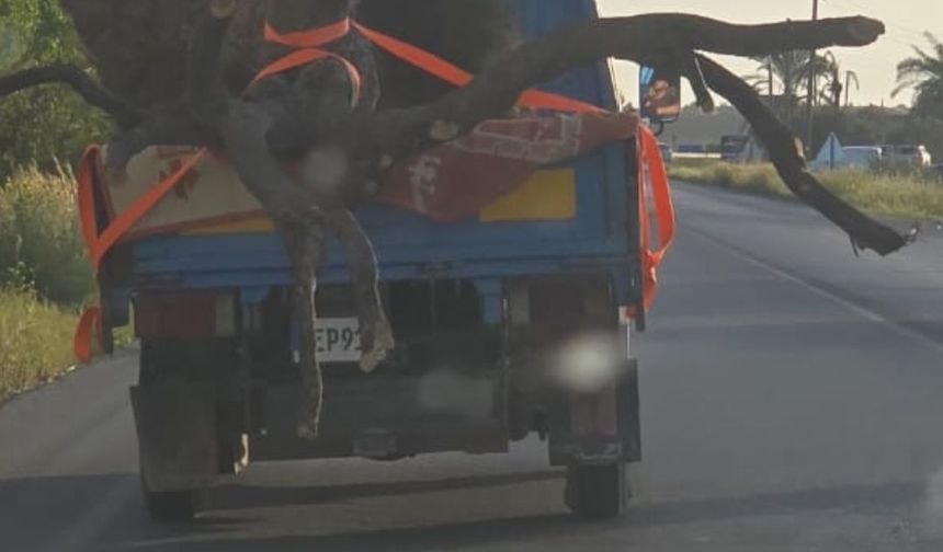 Yol ve trafik güvenliği kimin umurunda