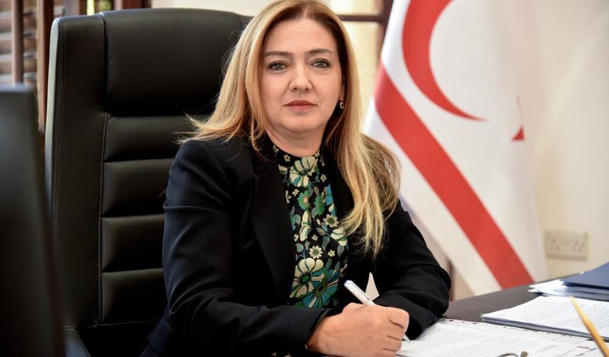 Varol: “Karara bağlanmayan yasa gücünde kararnameler 90 günde yürürlükten kalkar”