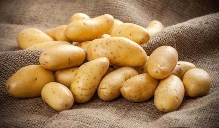 İlkbahar patates beyan alımlarının süresi Pazartesi gününe kadar uzatıldı