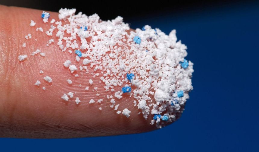 Mikroplastikler Üreme Sistemine Kadar Sızdı