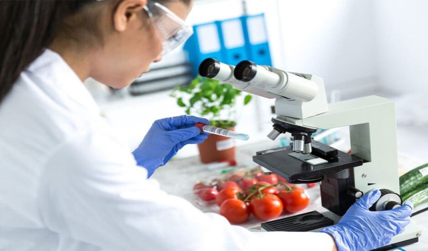 Haftalık gıda denetimleri