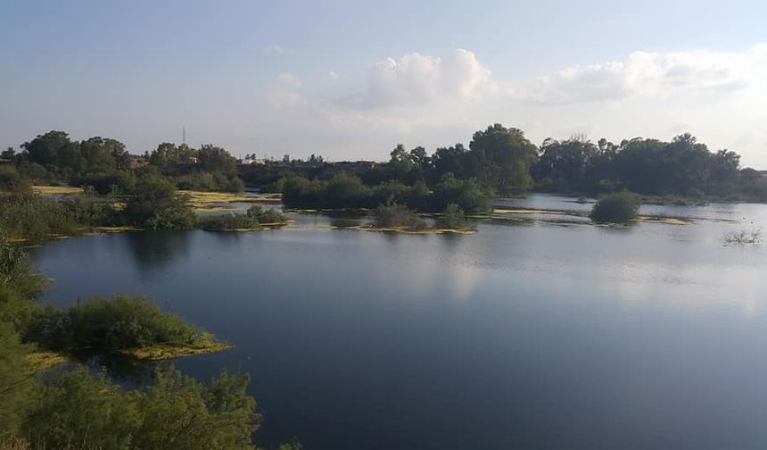Sivil toplum örgütleri Ayluga Sulak Alanı’nı koruma çağrısında bulundu